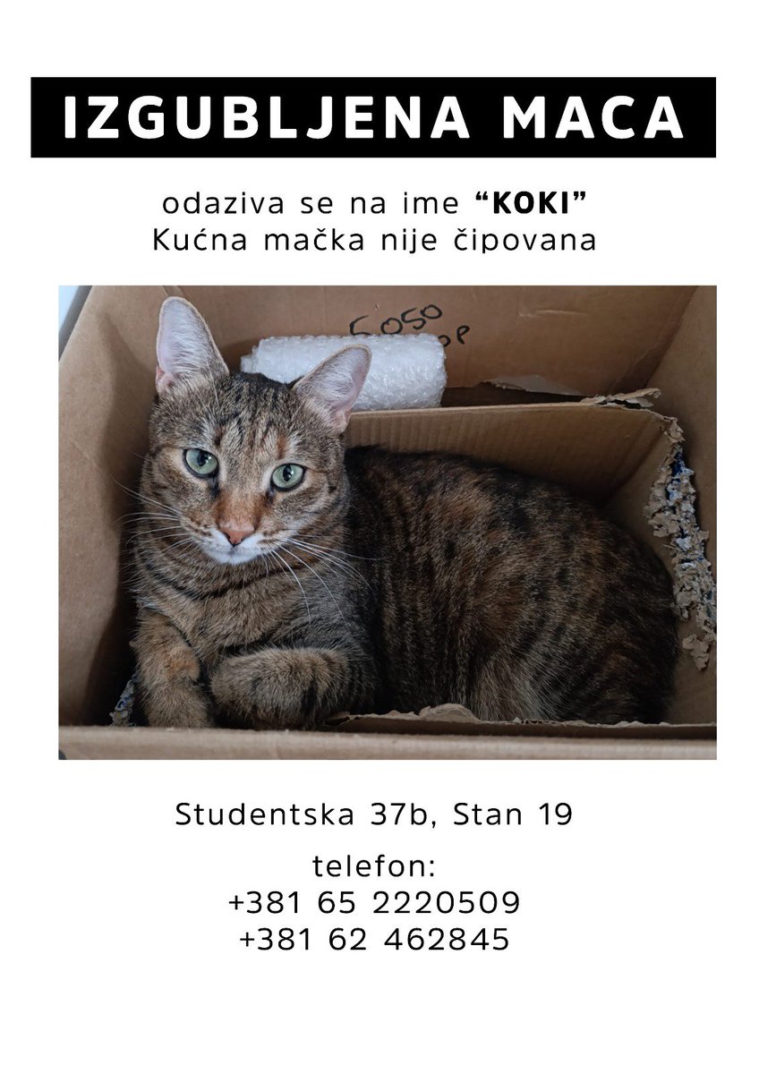 Novobeogradjani, ako je vidite molim vas pozovite ove ljude 🙏, ocajni su.

Hvala unapred za svaku info.