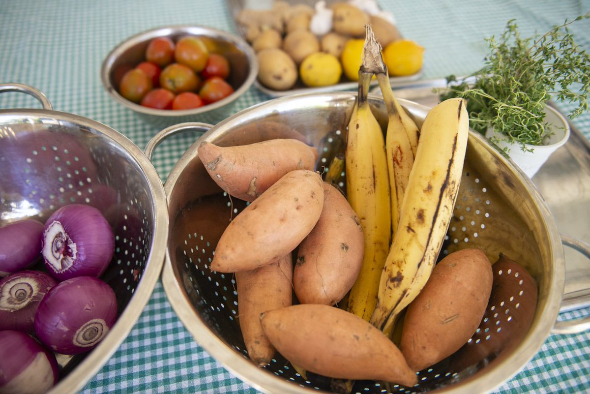 The Seychelles Islands tweet media