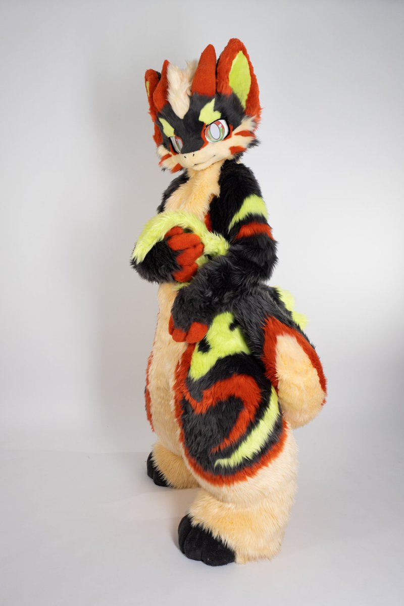 #furry #DragonWell

With a gray background and red and green patterns, the handsome face is always ready to charm everyone and make a dazzling entrance.