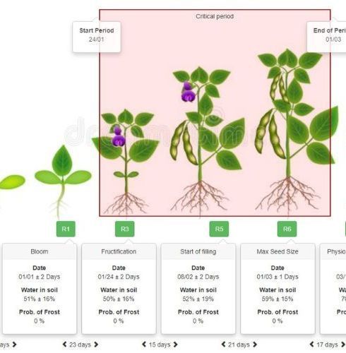 insilicoplants's tweet image. Optimizing Soybean Production in the Southern Cone
📰 Story: botany.one/2024/08/optimi… via Botany One
🔬 Research: doi.org/pfr5 
#PlantScience 🧪