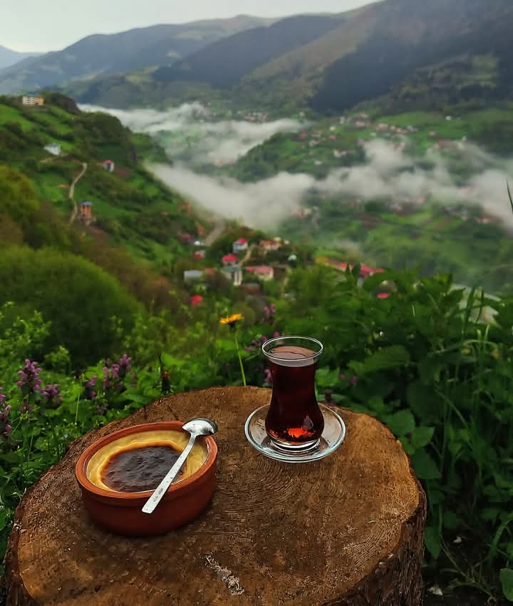 Yeniden başlamaktan korkma. Bu sefer sıfırdan değil, tecrübelerinden başlıyorsun... ✍️🐞🦋