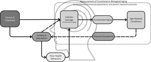 JNCI_Now's tweet image. Systematic review reveals positive associations between anxiety, depression and biological/functional aging among cancer survivors. More on this + next steps: oxford.ly/4iZiFYm
@brendoesscience @rachellebrick @thenci @BrenDoesScience @RachelleBrick