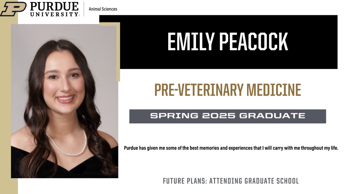 PU Animal Sciences (@purdueansc) on Twitter photo #PurdueANSC is recognizing its <a href="/PurdueAg/">Purdue Agriculture</a> spring graduates🎓 Today, we are highlighting Emily Peacock, who will be attending graduate school. Congratulations, Emily! #PurdueANSC is recognizing its <a href="/PurdueAg/">Purdue Agriculture</a> spring graduates🎓 Today, we are highlighting Emily Peacock, who will be attending graduate school. Congratulations, Emily!