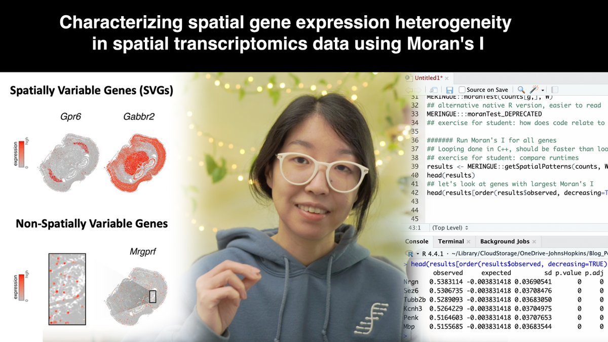 To supplement my students' learning, in this #bioinformatics #dataanalysis #codetutorial, I walk through how to analyze #spatialtranscriptomics data to identify spatially variable genes using the Moran’s I statistic #Rstats

Code along: youtube.com/watch?v=aaANPo…

#AcademicTwitter