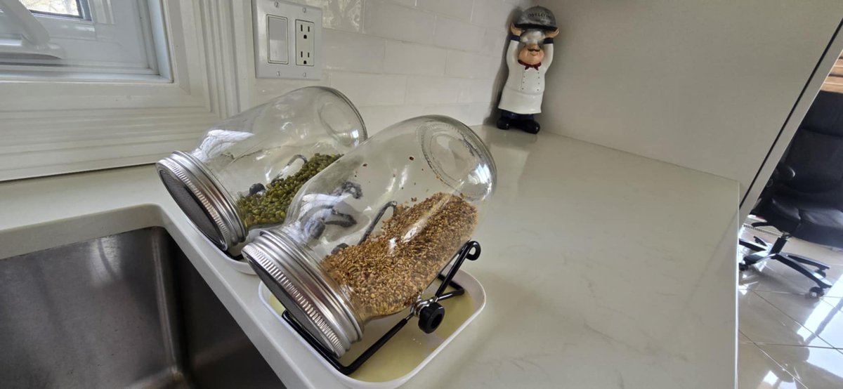 (DAO) Diamine Oxidase > Histamine Killer
Bean Sprouts are high in Diamine Oxidase

Diamine oxidase is a potent histamine killer/detox compound found in abundance in sprouts, just to name one of many foods.

The image is of me making organic mung bean sprouts and a blend of