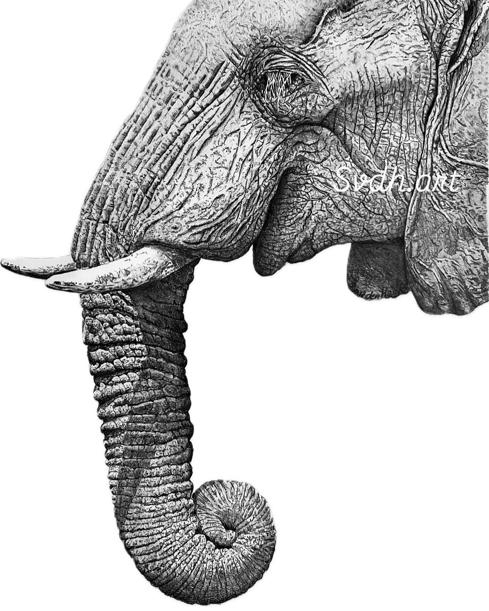 Scanning done. Looks rather striking! Took
many hours but it’s turned out great! #elephant