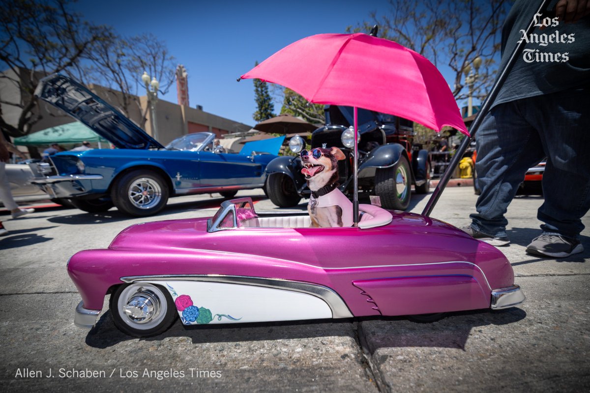 Allen J. Schaben (@alschaben) on Twitter photo On a hot sunny day, Sergio Prado of Temecula pushes Homer in a miniature 1951 Mercury he made himself, as they check out classic cars on display at the 21st annual Culver City Car Show <a href="/latimesphotos/">L.A. Times Photos</a> <a href="/latimes/">Los Angeles Times</a> <a href="/Hotrod_Homer/">Sergio Prado</a> On a hot sunny day, Sergio Prado of Temecula pushes Homer in a miniature 1951 Mercury he made himself, as they check out classic cars on display at the 21st annual Culver City Car Show <a href="/latimesphotos/">L.A. Times Photos</a> <a href="/latimes/">Los Angeles Times</a> <a href="/Hotrod_Homer/">Sergio Prado</a>