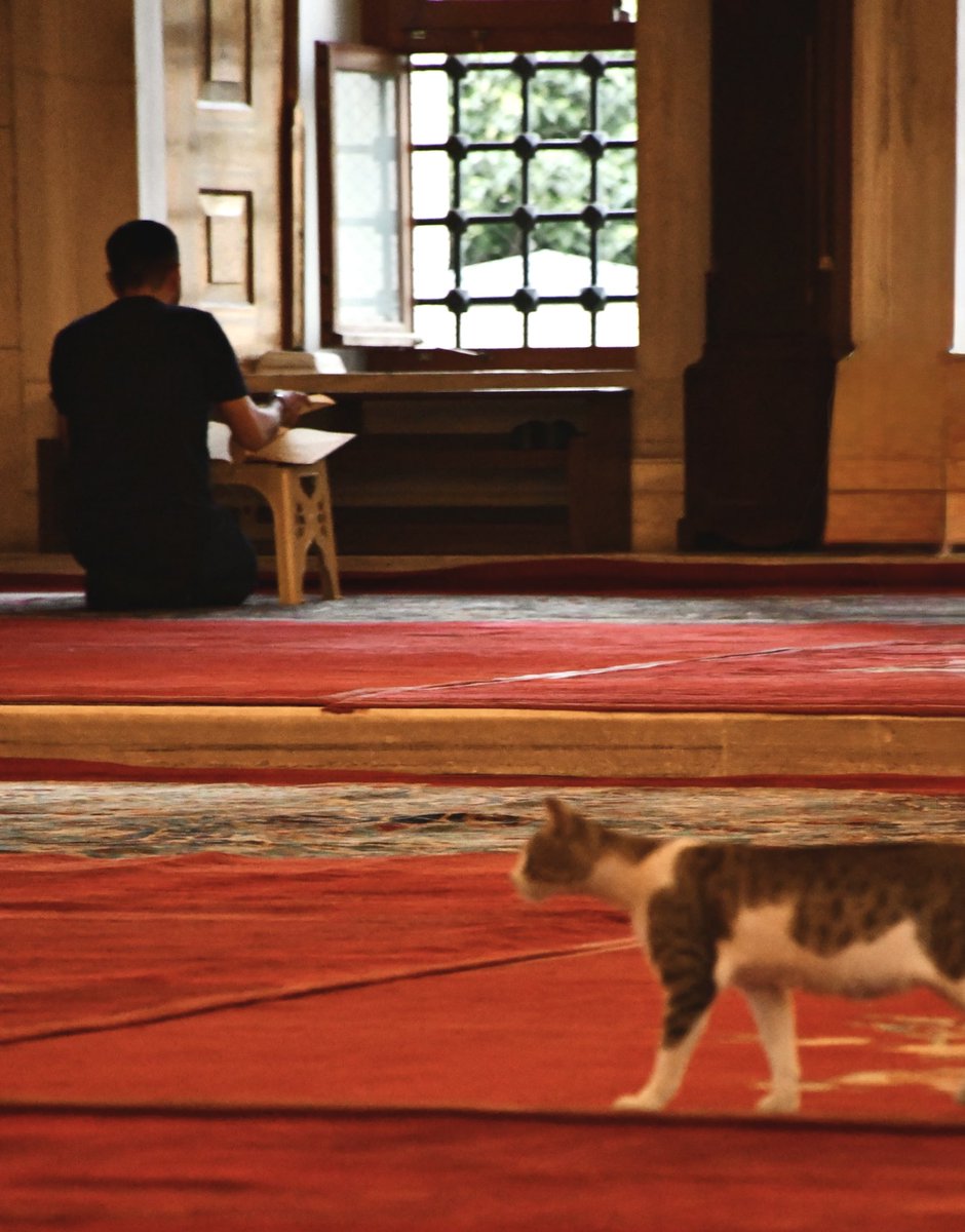 Fatih Camii’nde gezinti..