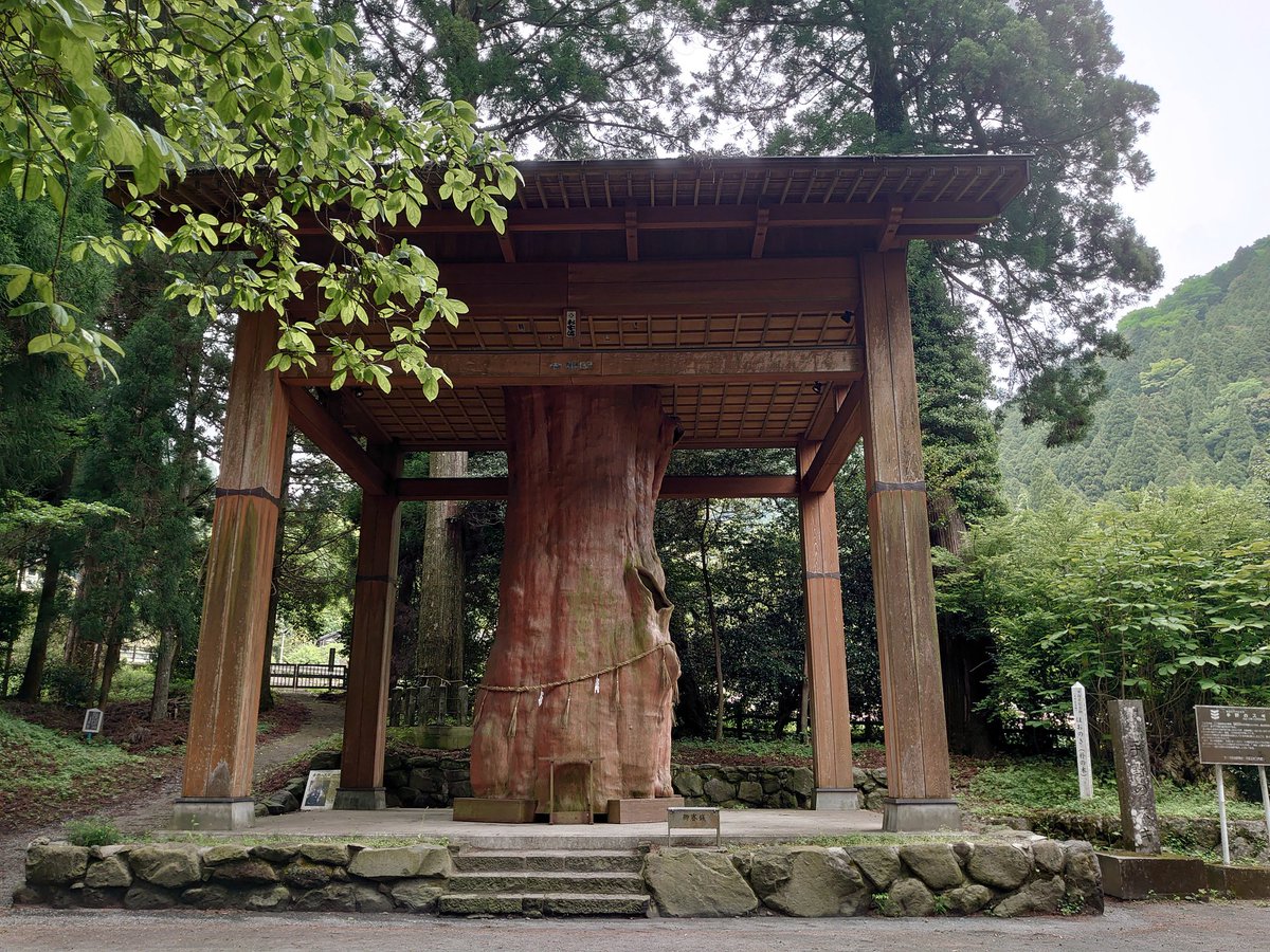 tanazooo's tweet photo. 日曜日、阿蘇の国造神社を参拝しました。 https://t.co/V6BdYnMSSb