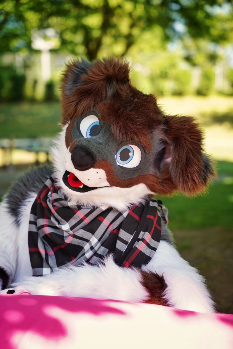 Found the ultimate spot: sun, soft grass, and bean bag bliss 🐾

If you need me, I’ll be right here… thinking about snacks and belly rubs ✨

📸: <a href="/RedNoise2/">RedNoise</a> 
🪡: <a href="/Sasa_Creations/">Sasa Creations🌸🔜EF|TFI|EAST</a> 
📍:<a href="/FurcietyD/">Furciety</a>