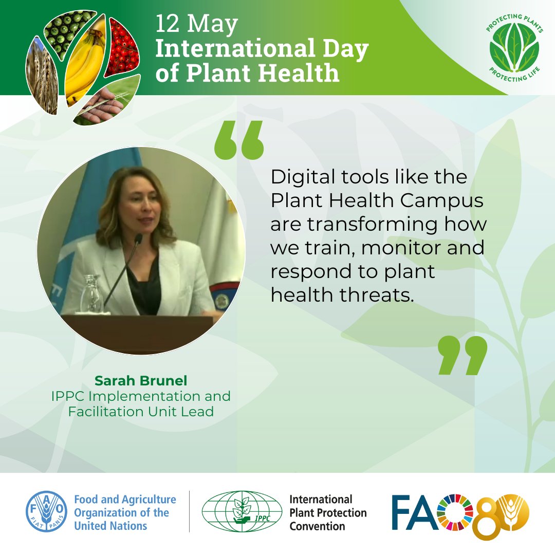 🌐 A great example of how digital innovation is strengthening global plant protection. Training, early warning, and response, all in one platform.

Join live! 🎦bit.ly/43f3LZf 

#PlantHealthDay🌱#OneHealth