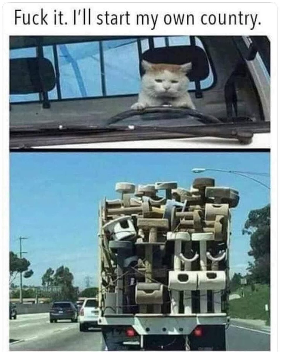 contents that ll heal your depression 🌻 (@catshealdeprsn) on Twitter photo 