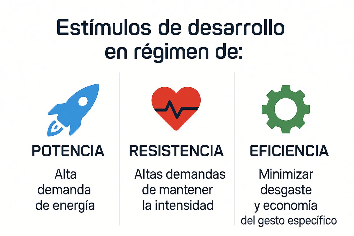 ArcadioMargarit's tweet image. Work in progress #trainingsimple #trainingsmart #trailrunning #trainingmethodology