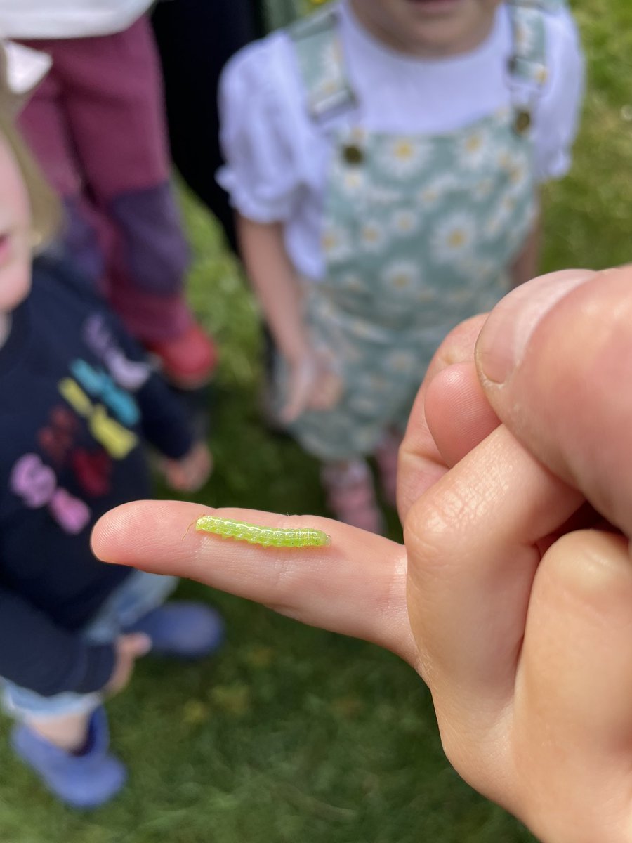 W82Matt's tweet image. Trying to inspire the next generation today at work @savebutterflies @BNAscience
