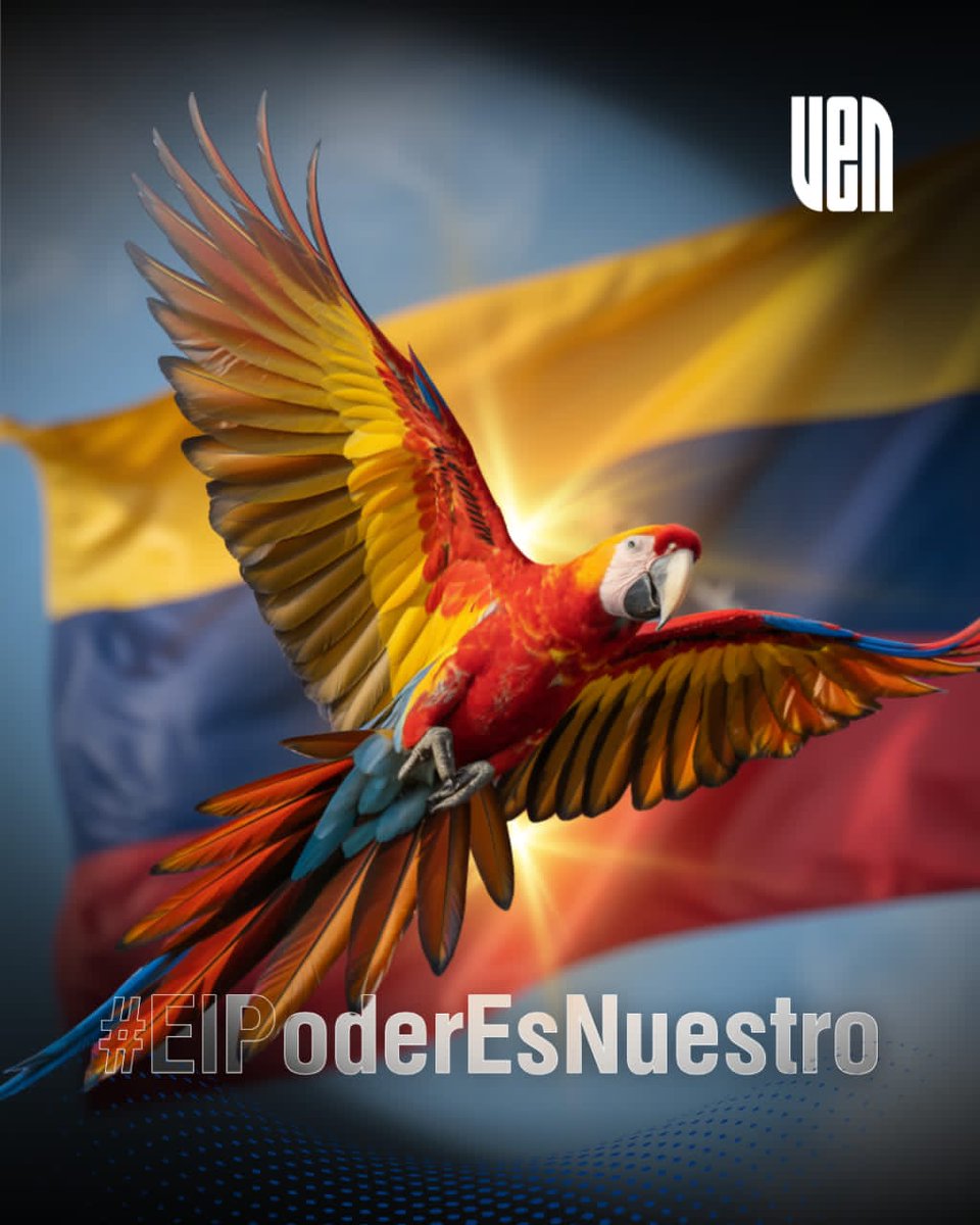 Vente Carabobo tweet media