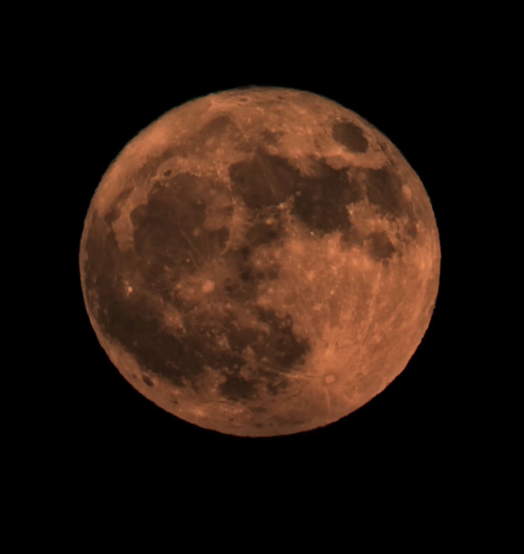 Tonight’s full moon from the towpath near Brewood. Owls are hooting and lapwings are whistling in the background. The little smart telescope has been a great buy for the boat. We used to like astronomy when we lived in a house but this is on another level of bliss!