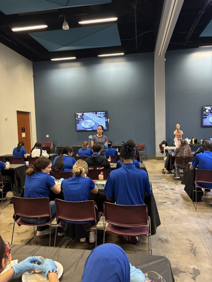 TISDTSA's tweet image. 🧠🫀 P-TECH Cohorts I & II took STEM learning to the next level today at the Houston Health Science Museum! From dissecting real sheep hearts to exploring the Body Worlds exhibit and enjoying a picnic at Hermann Park—it was a day full of discovery! 🌿💜 #WingsUp #PTECH