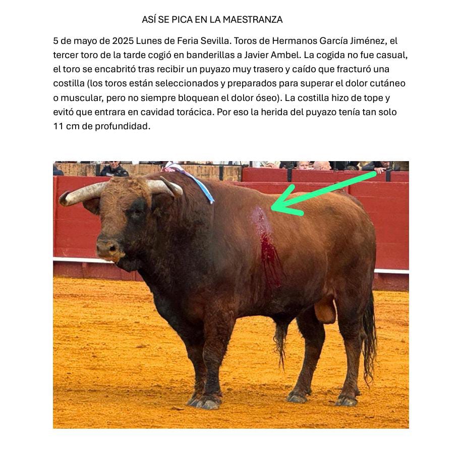 Así se pica en la <a href="/maestranzapages/">La Maestranza-Pagés</a>