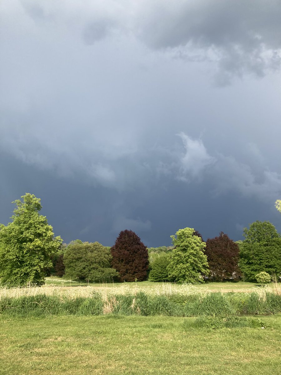 My photo of Today. Show us yours! 💫🙌🙏🏽