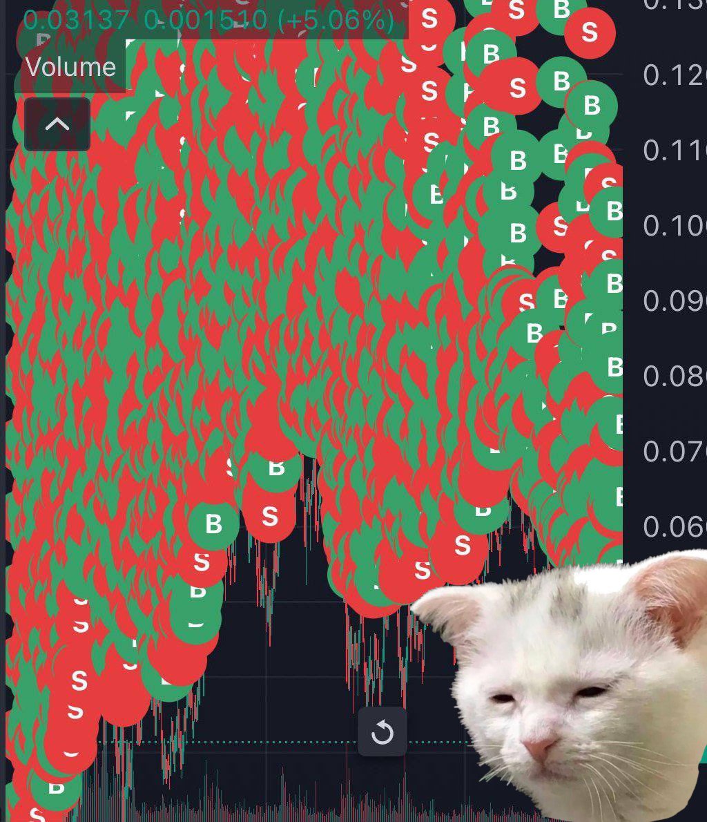 I'm so $tired 🚬 😺 

PVP is insane, volumes are low. We still here for the long term. Eventually everyone will understand how tired they are.