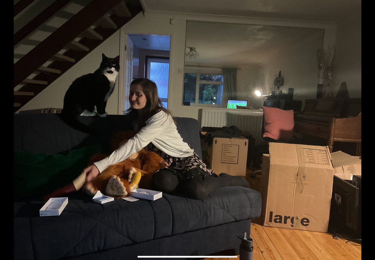 Gallery 47 tweet media