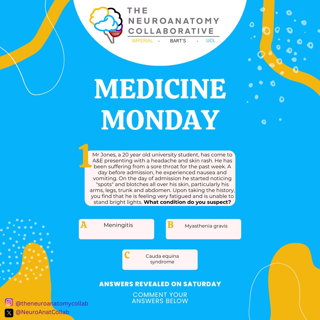 The Neuroanatomy Collaborative tweet media