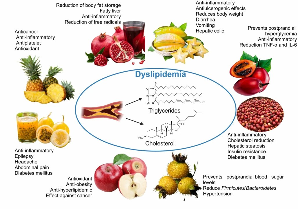 Potential of Fruits to Improve Dyslipidemias: A Pilot Review
⬇️ 
dovepress.com/potential-of-f…

#CardiovascularDisease #Cholesterol #TriglycerideLevels