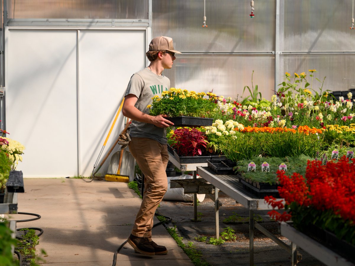 CSBSJU's tweet photo. Brightening campus one bloom at a time. 🌸
Flowers grown on campus are adding color and beauty across CSB+SJU spaces thanks to the hard work of our greenhouse team and student crew! Read the full story here: https://t.co/uT7AZyCryb https://t.co/PRuqOd9HnA