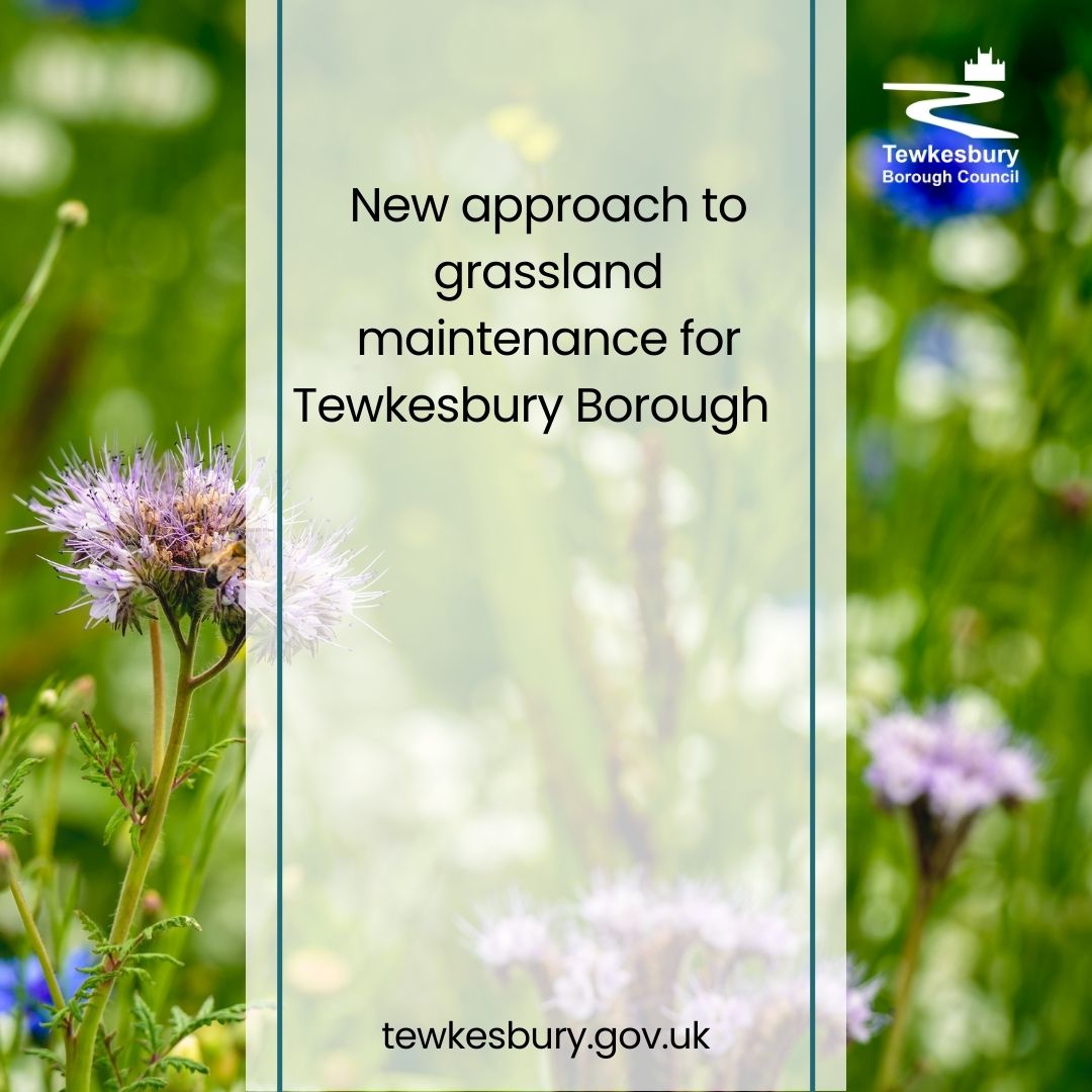 We are introducing a No Mow May trial scheme across some areas in our borough to give nature a chance to thrive. 🦋 🌻 
Also, we are changing our approach to maintaining grassland areas in the borough.
For more information visit orlo.uk/R77oe