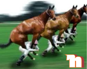 HOOFBORN tweet media