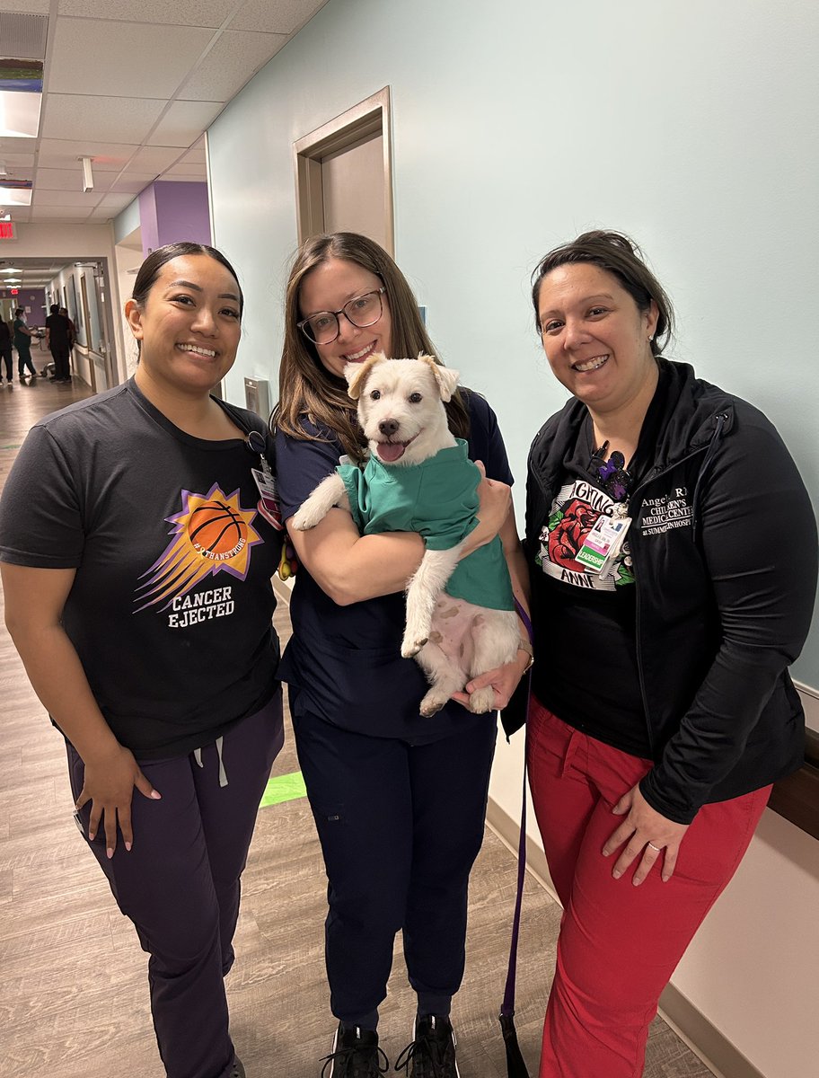 DekeHenriFurry's tweet image. To all the nurses at Summerlin Hospital that I have the privilege of working alongside Happy #InternationalNursesDay! 
Have a great day everyone!
~ Deke🐾
#TherapyDog
#IAmATherapyDog
#PawYouNeedIsLove