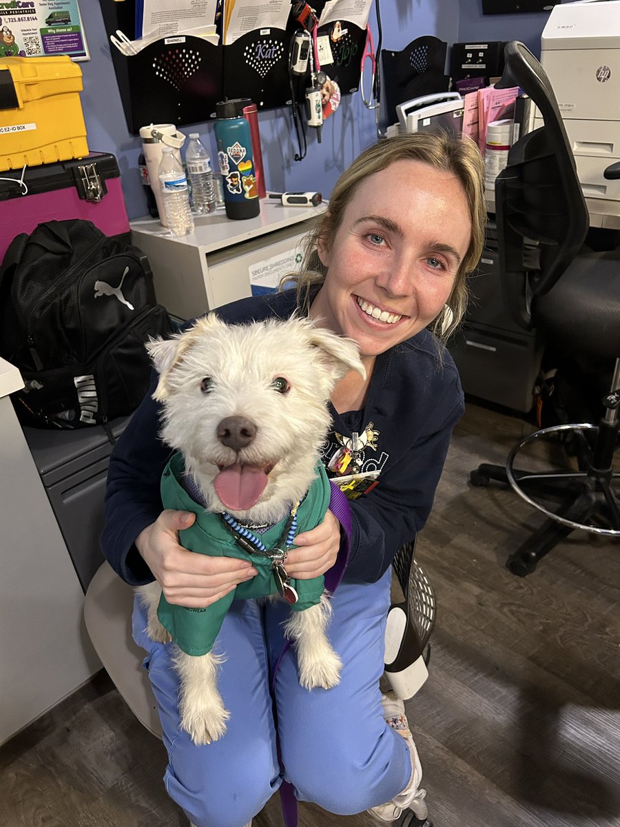 DekeHenriFurry's tweet image. To all the nurses at Summerlin Hospital that I have the privilege of working alongside Happy #InternationalNursesDay! 
Have a great day everyone!
~ Deke🐾
#TherapyDog
#IAmATherapyDog
#PawYouNeedIsLove