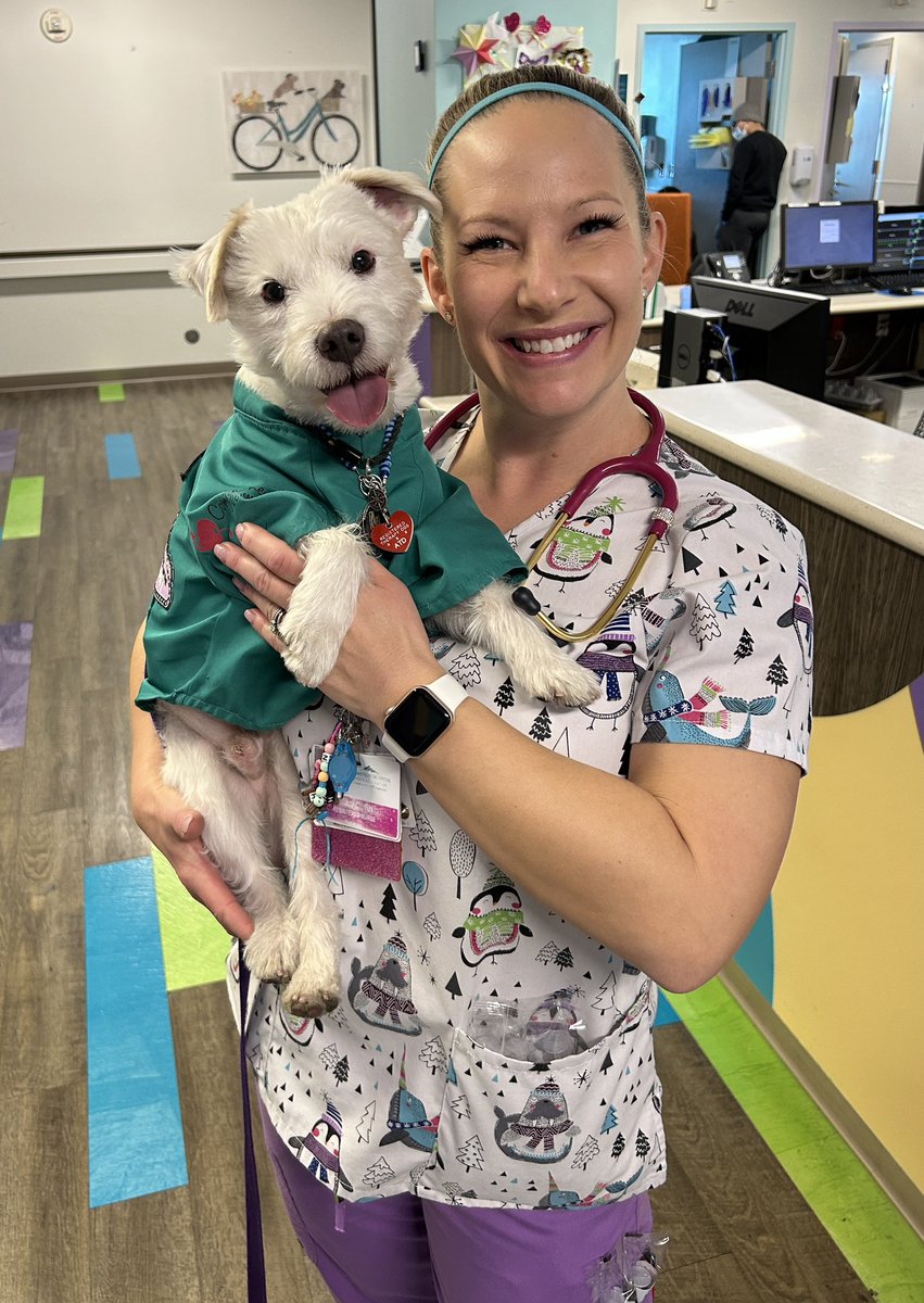 DekeHenriFurry's tweet image. To all the nurses at Summerlin Hospital that I have the privilege of working alongside Happy #InternationalNursesDay! 
Have a great day everyone!
~ Deke🐾
#TherapyDog
#IAmATherapyDog
#PawYouNeedIsLove