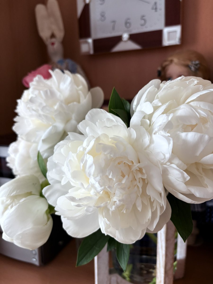 Півонії — мої улюблені квіти 🥹😍