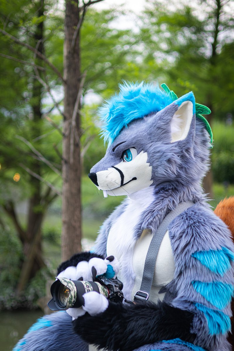 山松 MountainPine 🦊🐿️ ⏭️ Loading... (@mountainpinetw) on Twitter photo 📷: <a href="/Godpigtw/">神豬Godpiggy@ 🔜Thaitails</a>
✂️: <a href="/kigurumikagetsu/">きぐるみ花月/Kigurumi Kagetsu</a>
#FursuitEveryday #MountainPineTW 📷: <a href="/Godpigtw/">神豬Godpiggy@ 🔜Thaitails</a>
✂️: <a href="/kigurumikagetsu/">きぐるみ花月/Kigurumi Kagetsu</a>
#FursuitEveryday #MountainPineTW