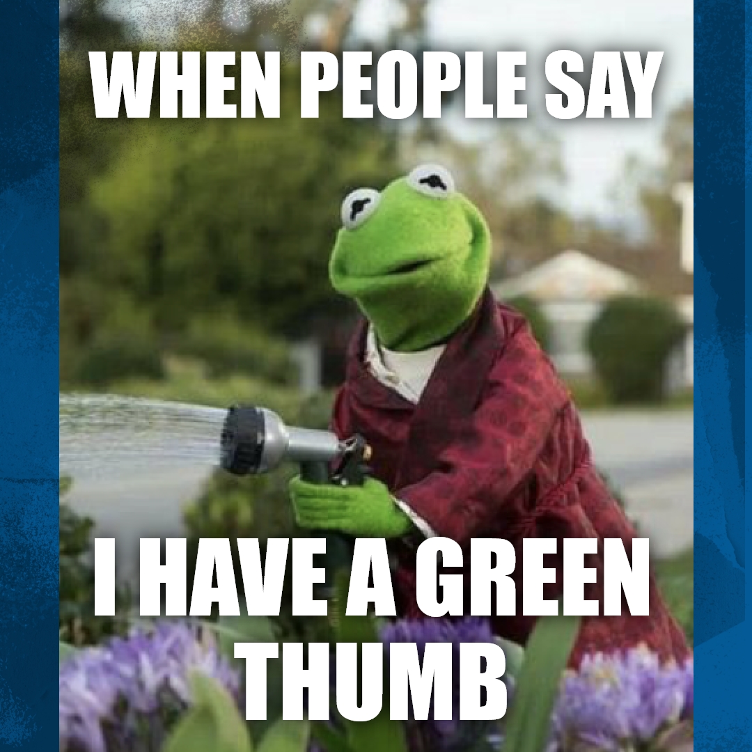 What words would you use to describe your gardening skills?