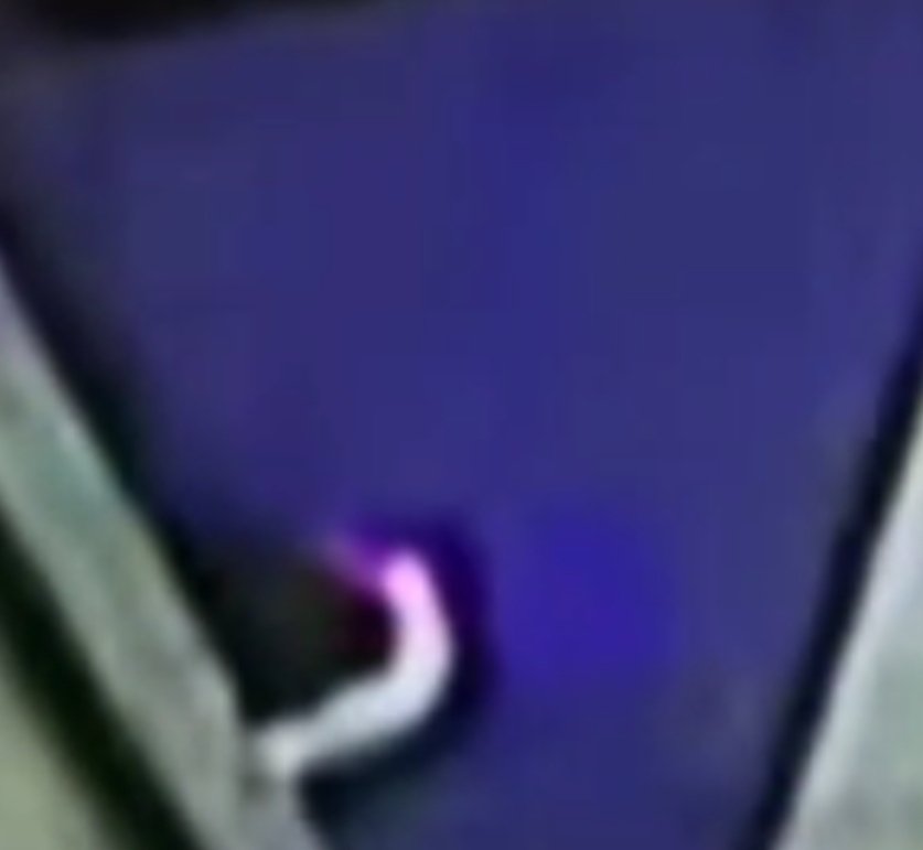 DixieNormu95224's tweet image. Higgy....what&apos;s that on your shoe?