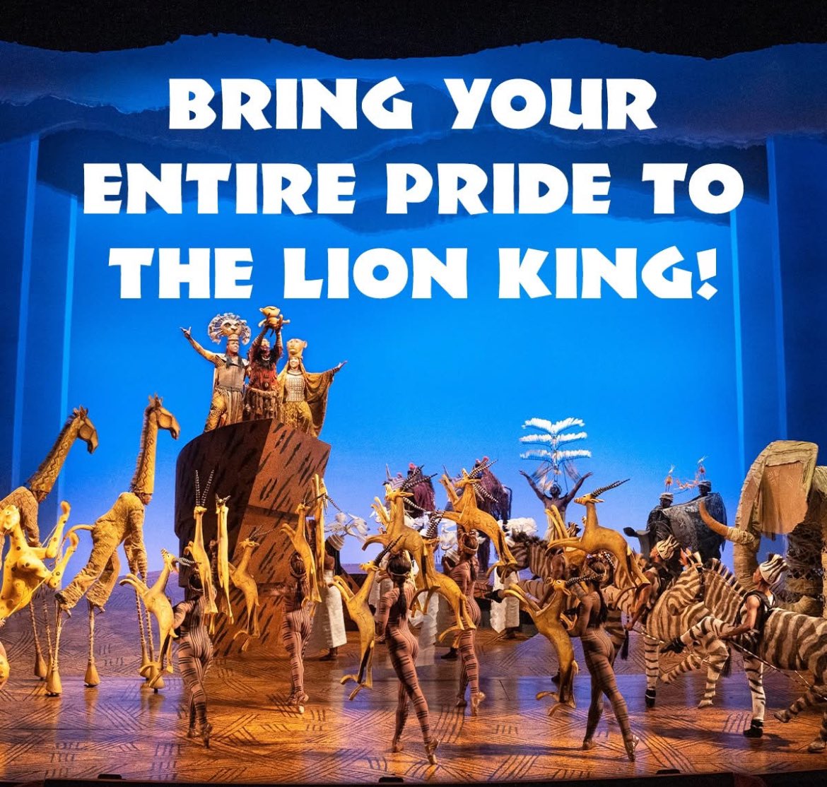 Skipwallace's tweet image. 🦁 Dallas, Gather your friends and family for an unforgettable experience! Groups of 10 or more receive exclusive discounts on select performances. Take advantage of this roaring good deal! 

✨ Learn More and Book Your Tickets Today! ✨
ow.ly/gm1150VK2xB