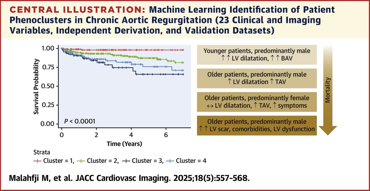 JACC Journals (@jaccjournals) on Twitter photo A #MachineLearning algorithm using #whyCMR findings derives novel disease phenotypes of patients with aortic regurgitation. jacc.org/doi/10.1016/j.…
#cvVHD #JACCIMG #cvImaging <a href="/WilliamZoghbi/">WilliamZoghbi</a> <a href="/venkat_polsani/">Venkat Polsani</a> <a href="/MaanMalahfji/">Maan Malahfji</a> <a href="/AndradaGuta/">Andrada Guta</a> A #MachineLearning algorithm using #whyCMR findings derives novel disease phenotypes of patients with aortic regurgitation. jacc.org/doi/10.1016/j.…
#cvVHD #JACCIMG #cvImaging <a href="/WilliamZoghbi/">WilliamZoghbi</a> <a href="/venkat_polsani/">Venkat Polsani</a> <a href="/MaanMalahfji/">Maan Malahfji</a> <a href="/AndradaGuta/">Andrada Guta</a>