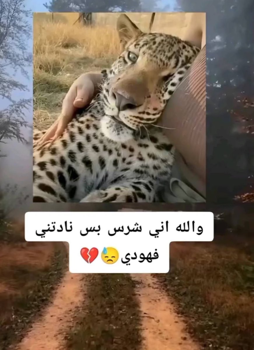 zohyr___'s tweet photo. 🤣 https://t.co/vjwZ93WfJu