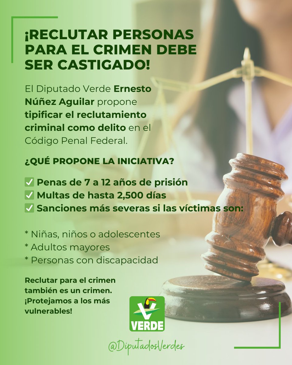 🚨 ¡Reclutar personas para el crimen debe ser castigado!
El Diputado Verde <a href="/ernesto_nu/">Ernesto Núñez Aguilar</a> propone una reforma para tipificar el reclutamiento criminal como delito en México.

👥 Los grupos delictivos captan a menores, adultos mayores o personas vulnerables sin enfrentar mayores