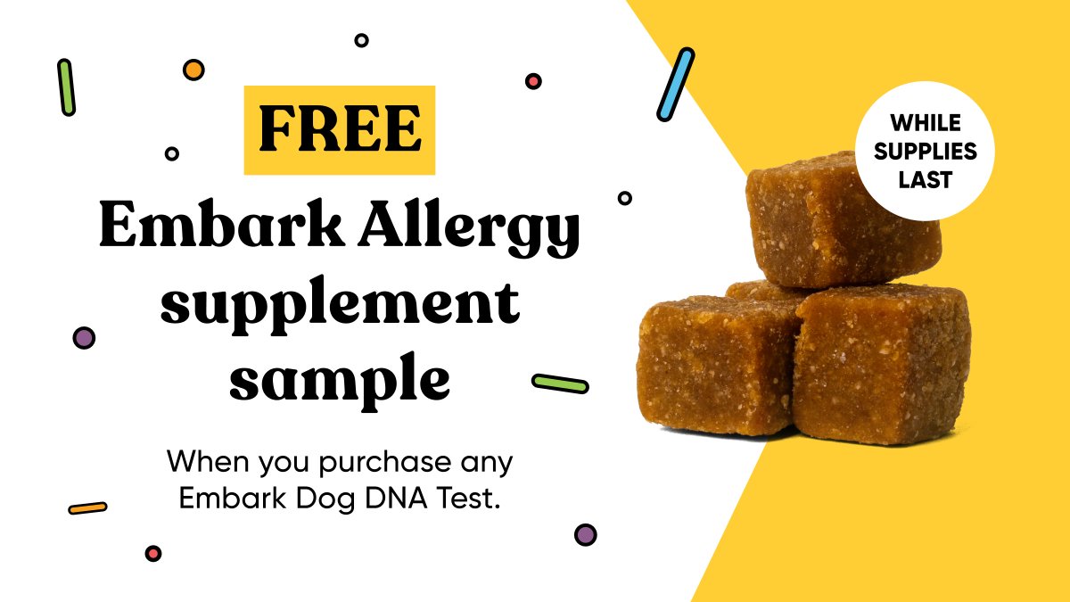 Get a Embark Allergy supplement sample with every Dog DNA Test—limited time only. Some dogs are extra sensitive to seasonal changes like pollen and grass, so we’re helping you get ahead of the itch. bit.ly/4dkGpoE