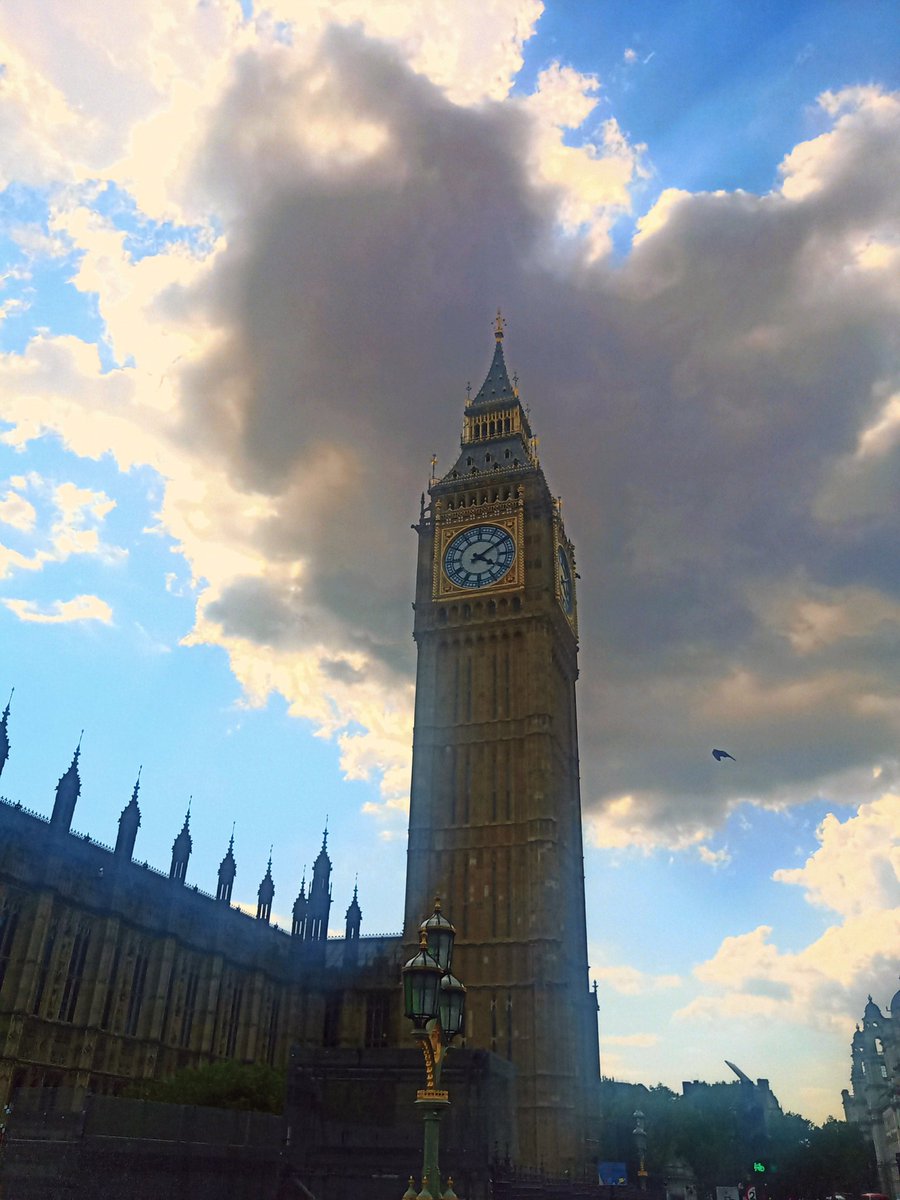 Ali Morse tweet media