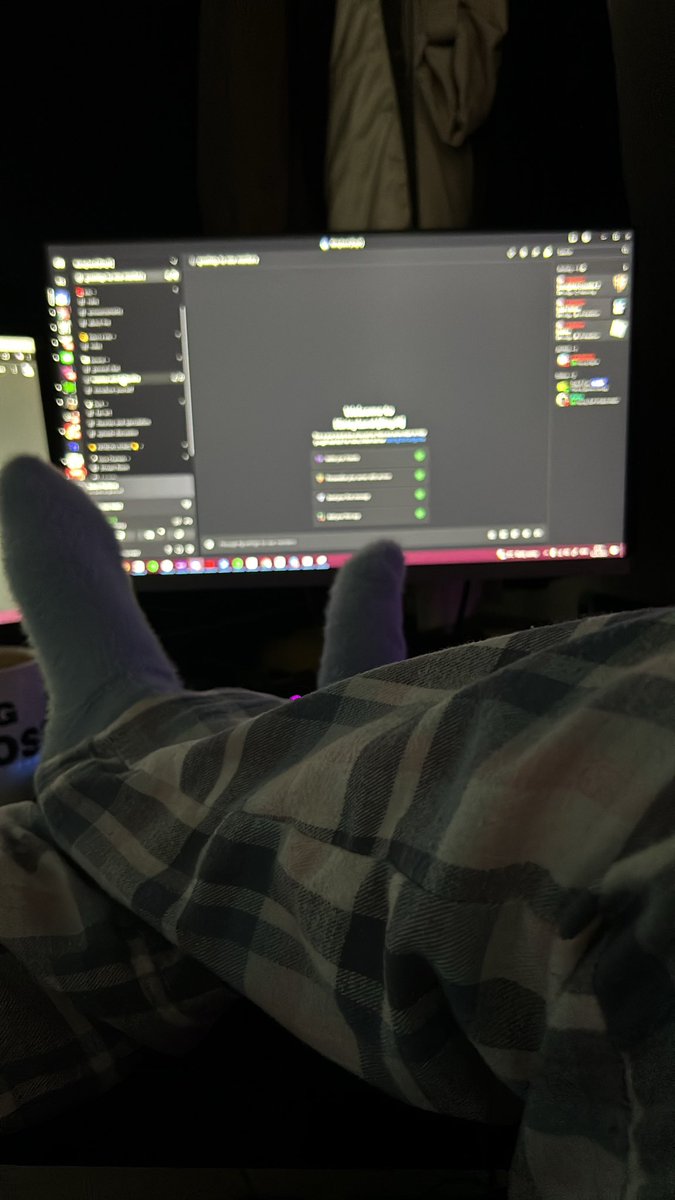 how i feel setting up my discord channel for my e-kittens