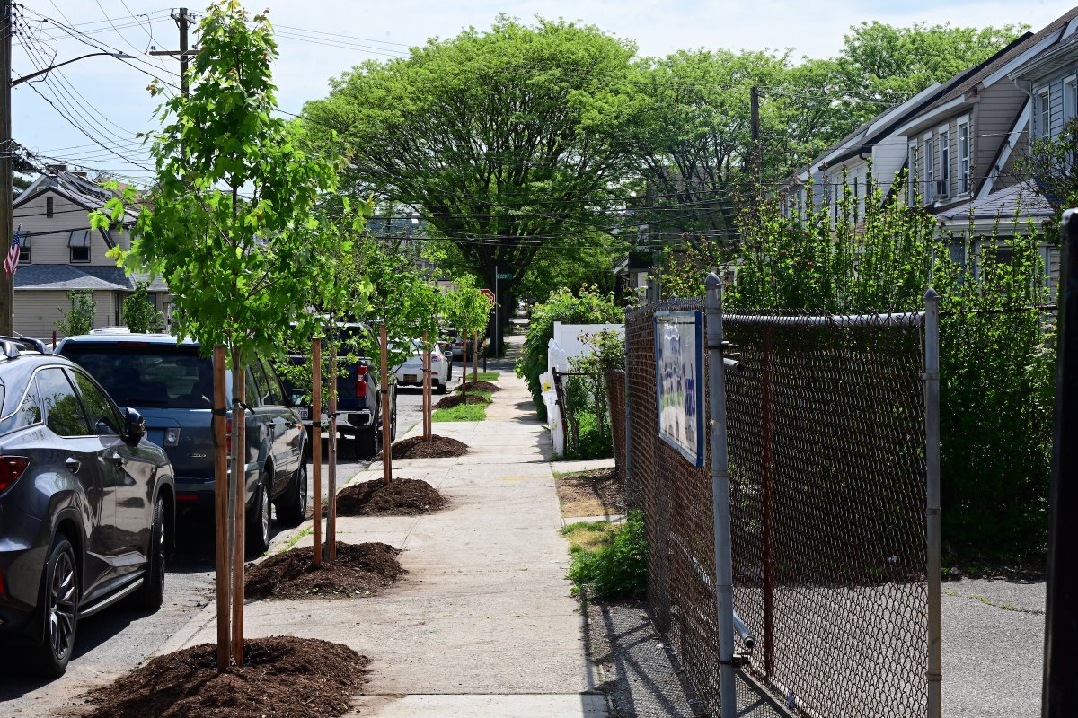 “We’re planting here!” - Our Street Tree Team, probably

Last week, our team planted a whole new block’s worth of trees in Queens to clean the air, reduce flooding, &amp; add shady spots to the sunny sidewalk! Thanks to their hard work, our city stays green, cool, and clean. 🌳