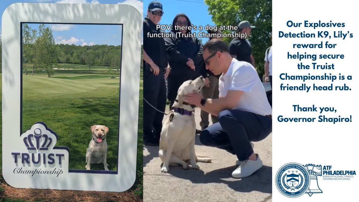 ATF Philadelphia (@atfphiladelphia) on Twitter photo Our Explosives Detection K9, Lily’s reward for helping secure <a href="/TruistChamp/">Truist Championship</a> is a friendly head rub.
Thank you, <a href="/GovernorShapiro/">Governor Josh Shapiro</a>!
instagram.com/reel/DJfWf2aJg… Our Explosives Detection K9, Lily’s reward for helping secure <a href="/TruistChamp/">Truist Championship</a> is a friendly head rub.
Thank you, <a href="/GovernorShapiro/">Governor Josh Shapiro</a>!
instagram.com/reel/DJfWf2aJg…