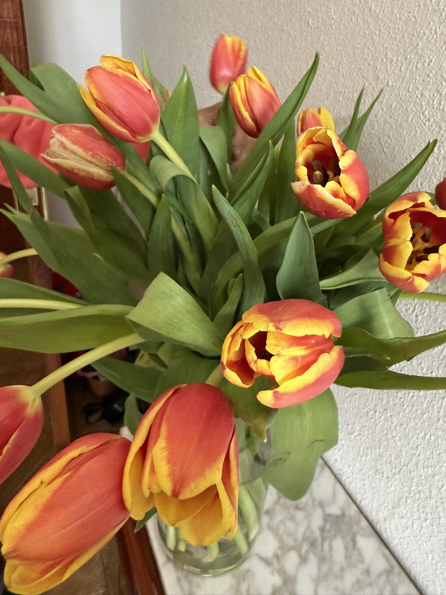 Ramo 💐 de tulipanes de colores patrios. 
No se me ocurre nada mejor para alegrar nuestras vidas.