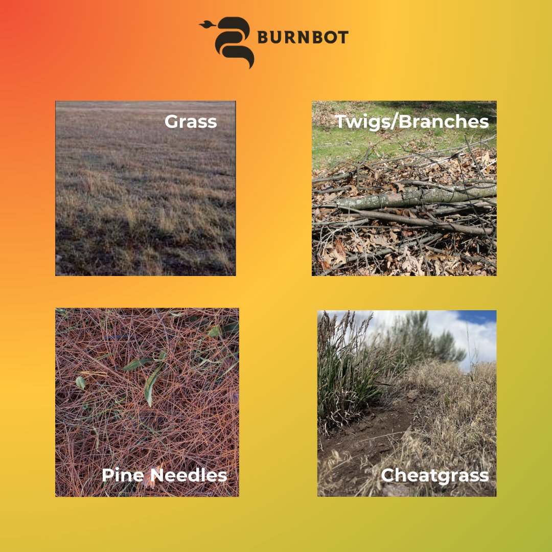 BurnBot (@burnbotrxtech) on Twitter photo Those innocent-looking dry grasses? They're "fine flashy fuels" – wildfire's best friend. They ignite instantly and spread even quicker!
BurnBot's helps landowners and agencies mitigate BEFORE they become a problem. 
#FireSafety Those innocent-looking dry grasses? They're "fine flashy fuels" – wildfire's best friend. They ignite instantly and spread even quicker!
BurnBot's helps landowners and agencies mitigate BEFORE they become a problem. 
#FireSafety