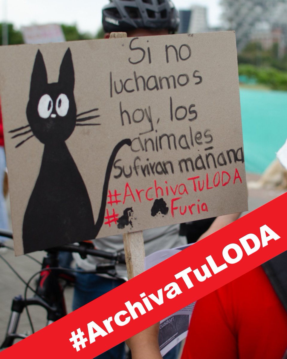 Protección Animal EC (@paeecuador) on Twitter photo En la #LODA la <a href="/BiodiversidadAN/">Comisión de la Biodiversidad y Recursos Naturales</a> abre la posibilidad de que las peleas de gallos y corridas de toros sean permitidas, incluso en aquellos cantones donde quedó prohibido por Consulta Popular. <a href="/AsambleaEcuador/">Asamblea Nacional</a> no pasen a la historia como #AbanderadosDelMaltratoAnimal #ArchivaTuLODA En la #LODA la <a href="/BiodiversidadAN/">Comisión de la Biodiversidad y Recursos Naturales</a> abre la posibilidad de que las peleas de gallos y corridas de toros sean permitidas, incluso en aquellos cantones donde quedó prohibido por Consulta Popular. <a href="/AsambleaEcuador/">Asamblea Nacional</a> no pasen a la historia como #AbanderadosDelMaltratoAnimal #ArchivaTuLODA
