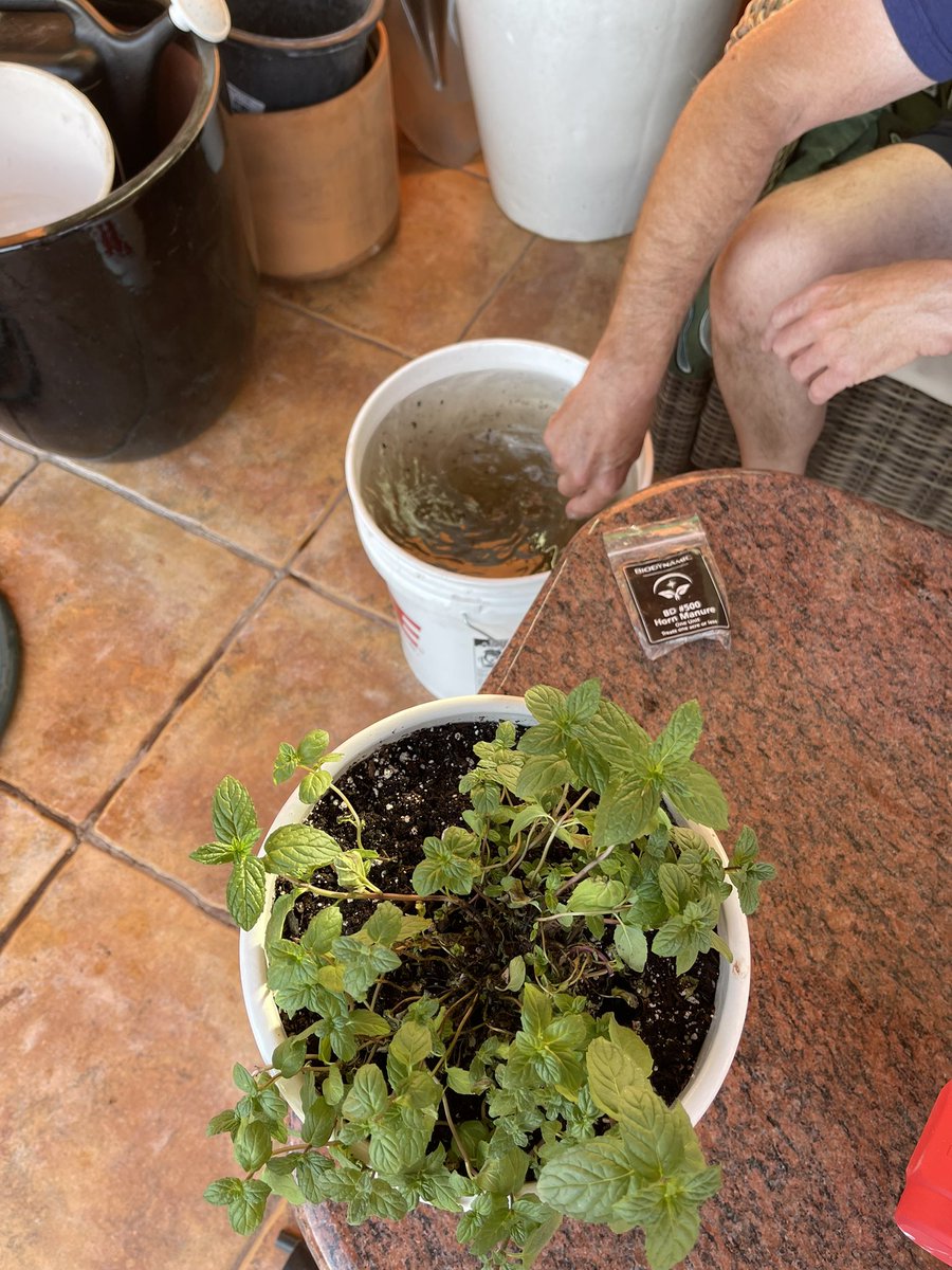 BillBiodynamic's tweet image. Our first 500 application in Sedona. You can change a Biodynamic farmers terroir but you can’t change his habits. #biodynamics #lovetheearth